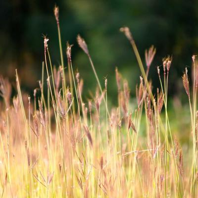 4K Webcam Auto-Focus